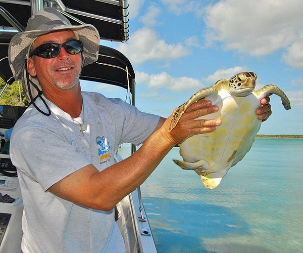 Off Island Boat Tours
